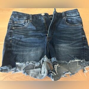American Eagle Dark Blue Jean Shorts